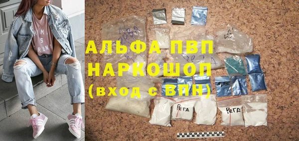 a pvp Аркадак