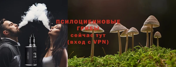 тгк Арсеньев
