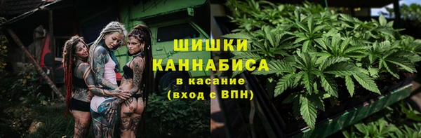 a pvp Аркадак